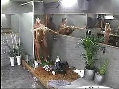 કાળો ગાંડ