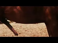 પેનેલોપ ક્રોસનો oldje પ્રથમ ડોર્સેલ વિડિયો